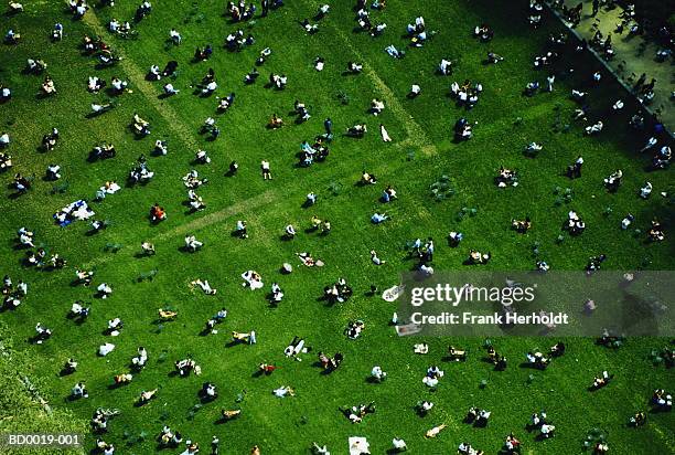 people relaxing in park, aerial view (digital enhancement) - aerial public park stock pictures, royalty-free photos & images