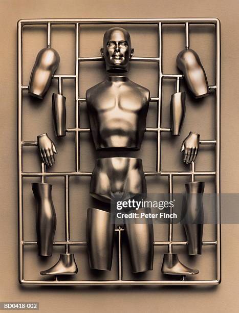 kit of model human body parts, close-up - model kit stock pictures, royalty-free photos & images