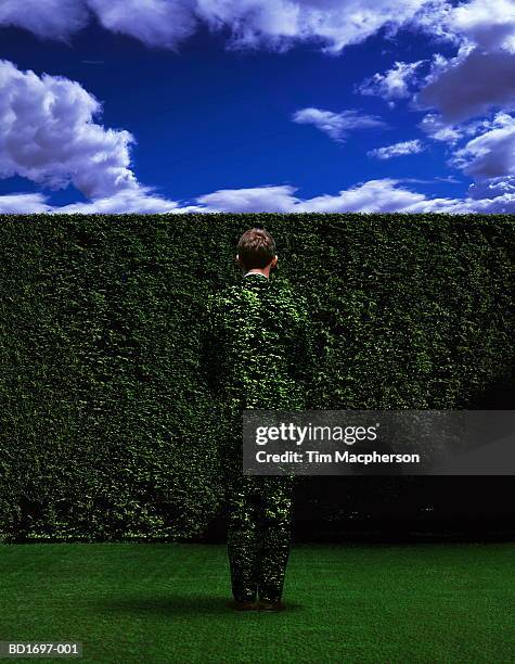 man in foliage suit standing in front of hedge (enhancement) - camo man stock pictures, royalty-free photos & images