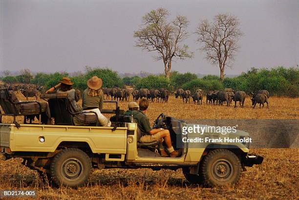 zambia, south luangwa national park, group of people on safari - safari park stock-fotos und bilder