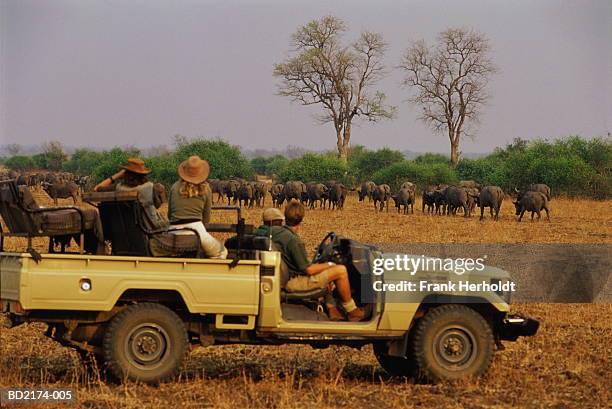 zambia, south luangwa national park, group of people on safari - sudafrica foto e immagini stock