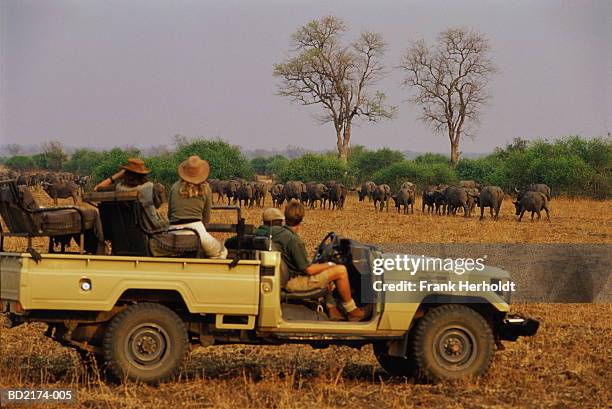 zambia, south luangwa national park, group of people on safari - safari stockfoto's en -beelden