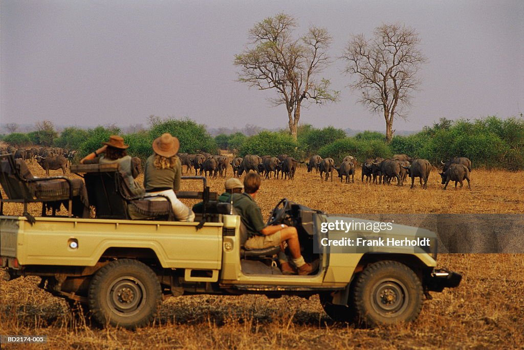 Zambia, South Luangwa National Park, group of people on safari