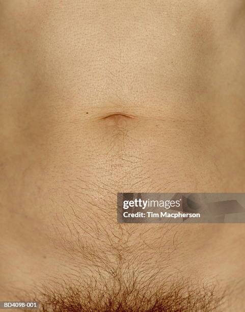 man's abdomen, belly button and pubic hair, close-up - pube stock-fotos und bilder