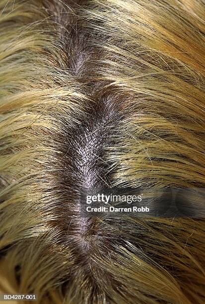 blonde hair parting, close-up, overhead view - hair parting stockfoto's en -beelden