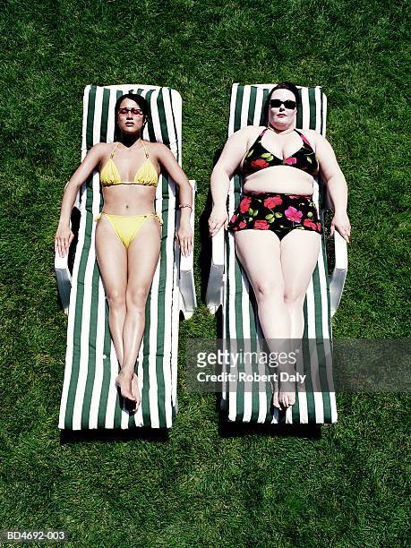 large woman lying beside slim woman on sun loungers, elevated view - slim stock pictures, royalty-free photos & images