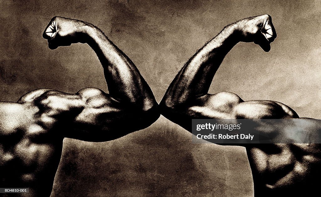 Two male arms, flexing biceps, close-up (toned B&W)