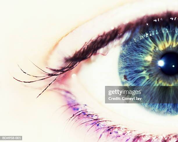 woman's eye, close-up - pretty eye makeup for blue eyes stock pictures, royalty-free photos & images