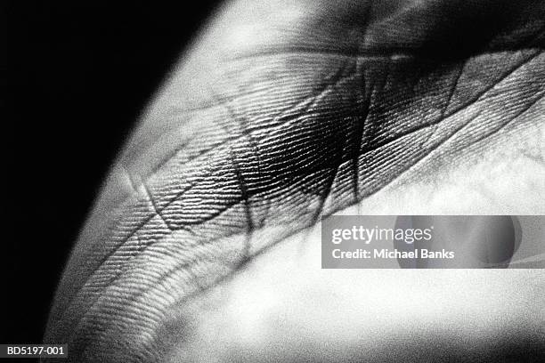 man's open hand, close-up (b&w) - black and white photo to colour stock pictures, royalty-free photos & images