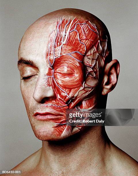Anatomical Muscle Effect On Left Side Of Mans Face Stock-Foto 