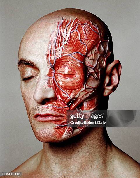 anatomical muscle effect on left side of man's face (digital) - body parts stockfoto's en -beelden