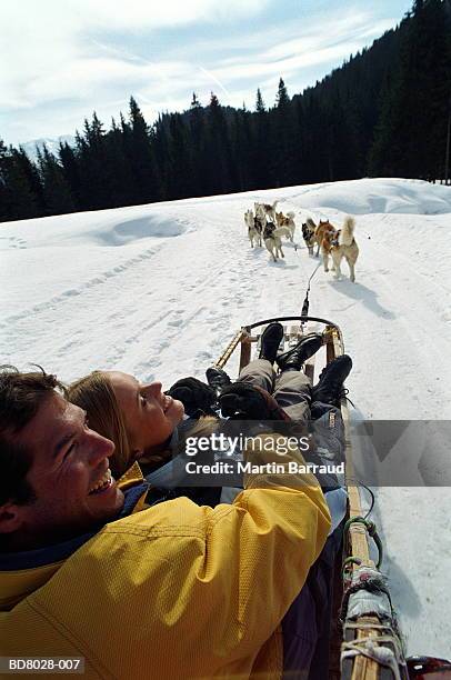 couple on sledge being pulled by huskies, over shoulder view - hondensleeën stockfoto's en -beelden