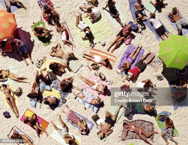 crowd of people sunbathing on beach, over head view - toalha de praia imagens e fotografias de stock