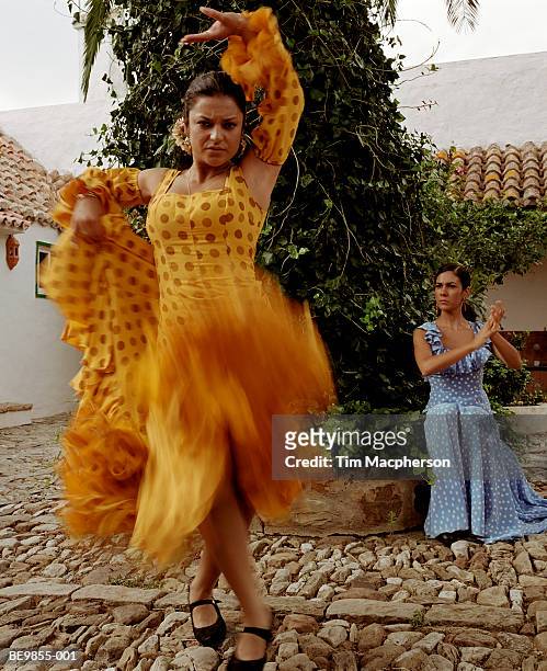 woman flamenco dancer, outdoors, portrait - baile flamenco fotografías e imágenes de stock