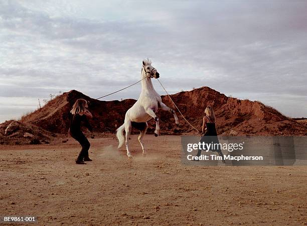 two women holding reins of rearing horse - rearing up stockfoto's en -beelden