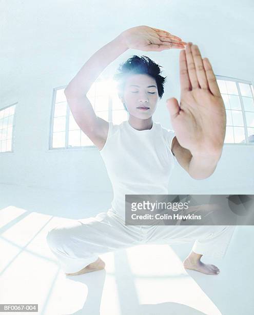 young woman in kung fu stance, close-up (wide angle) - kung fu pose stock pictures, royalty-free photos & images