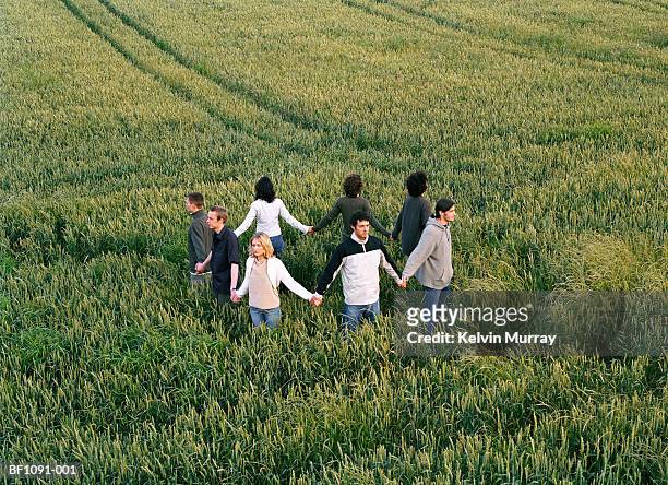 group of people in field holding hands to form ring, elevated view - kornkreis stock-fotos und bilder