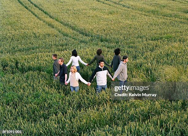 group of people in field holding hands to form ring, elevated view - crop circles stock pictures, royalty-free photos & images