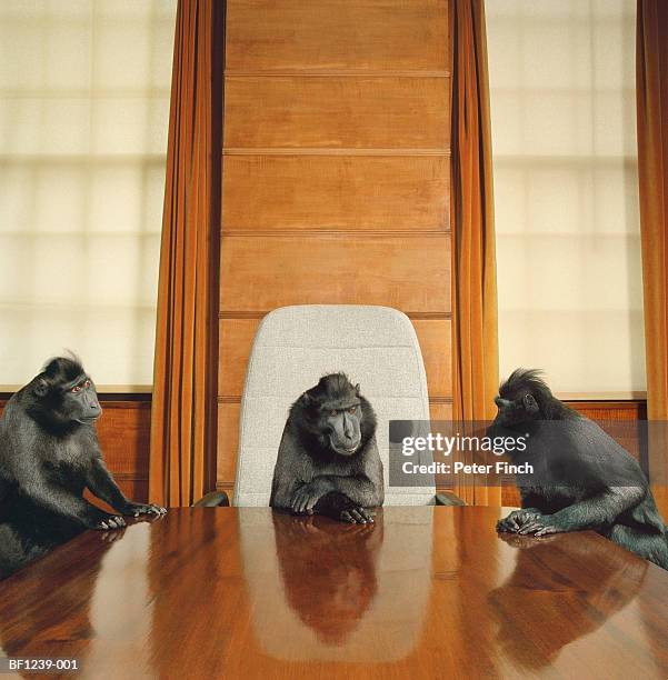 Three Monkey Table Monkey Table ストックフォトと画像 - Getty Images