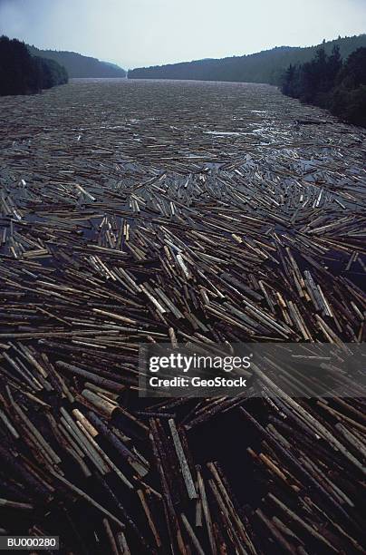 Logjam 801 Logjam Stock Photos, High-Res Pictures, and Images - Getty Images