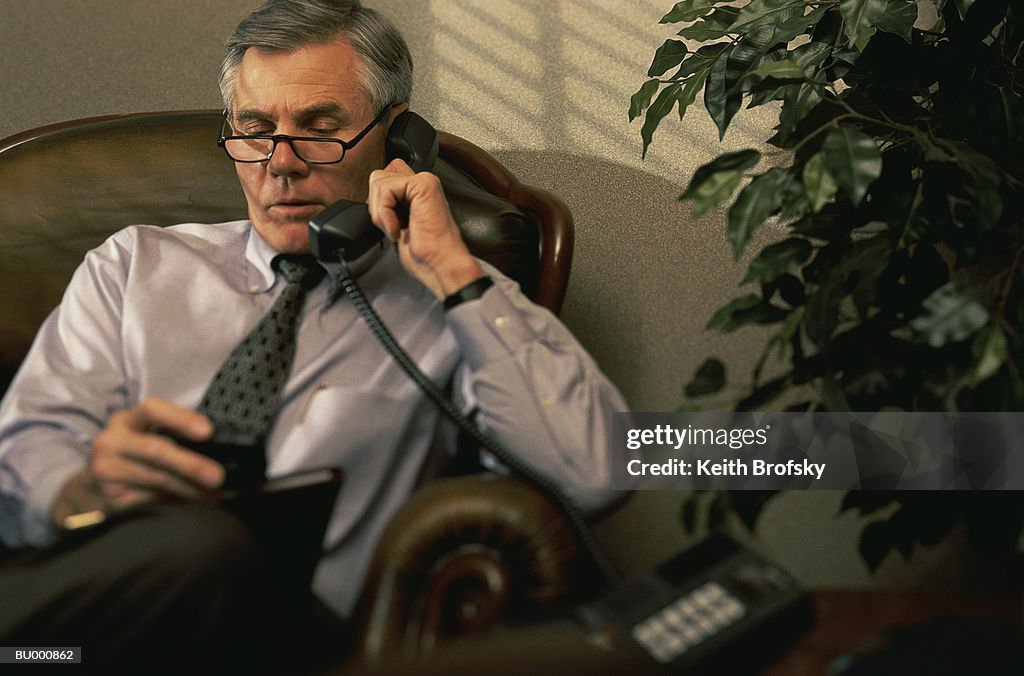 Businessman on a Telephone