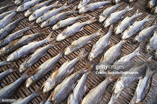 Philippines Drying Fish Rack Fish Drying Racks Photos and Premium High Res Pictures - Getty Images