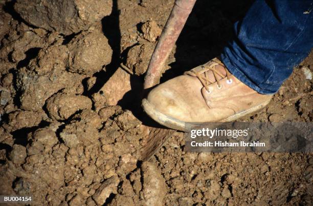 digging with a shovel - muddy boot stock pictures, royalty-free photos & images