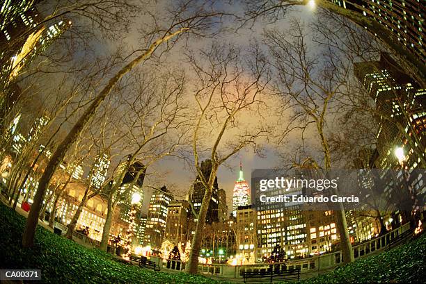 usa, new york, new york city, bryant park, night - garcia stockfoto's en -beelden