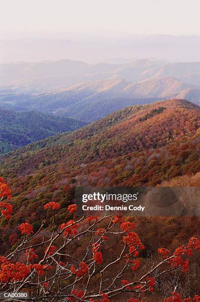 usa, north carolina, great smoky national park, scenic, autumn - north carolina 個照片及圖片檔