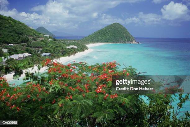 british virgin islands, tortola, long bay, elevated view - bay islands stock pictures, royalty-free photos & images