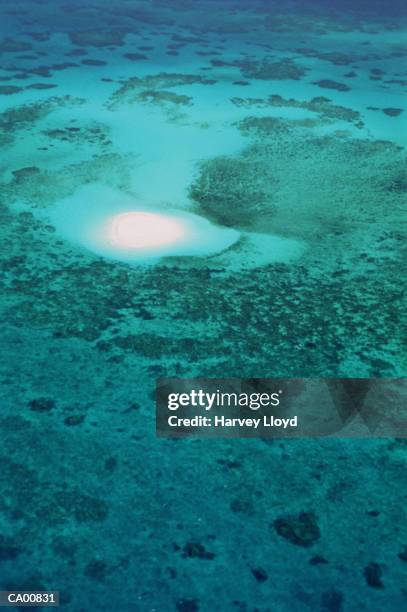 australia, queensland, great barrier reef, aerial view - barrier imagens e fotografias de stock