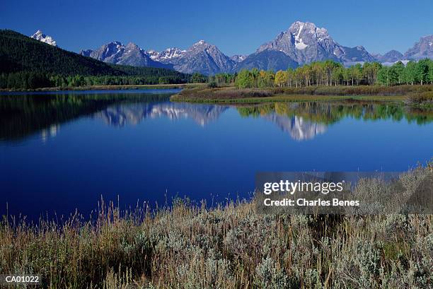 mountain landscape - wyoming - moran photos et images de collection