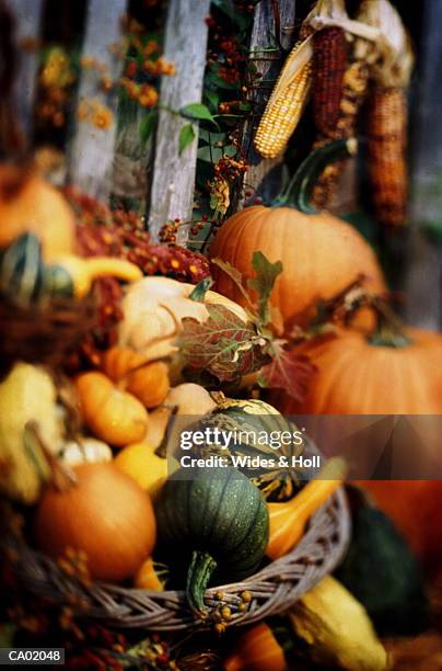 autumn squash in basket - indian corn stock-fotos und bilder