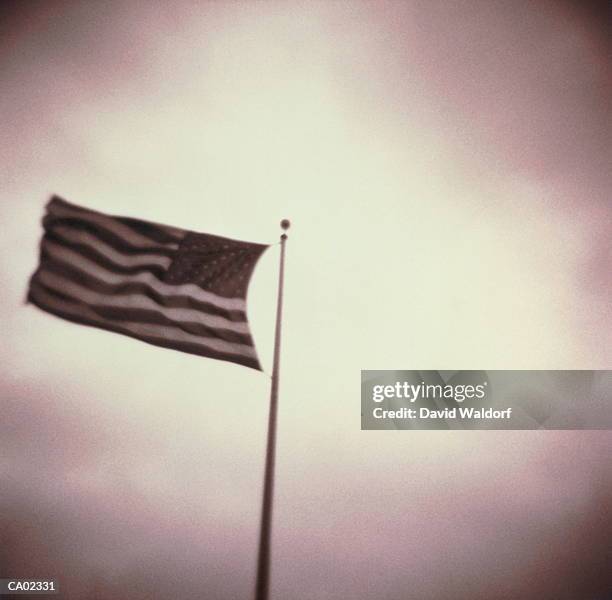 usa 'stars and stripes' flag (toned b&w) - waldorf fotografías e imágenes de stock