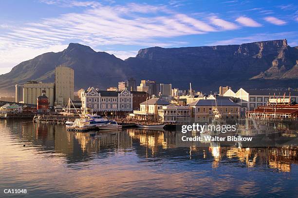 south africa, west cape, capetown, waterfront - cape town waterfront stock pictures, royalty-free photos & images