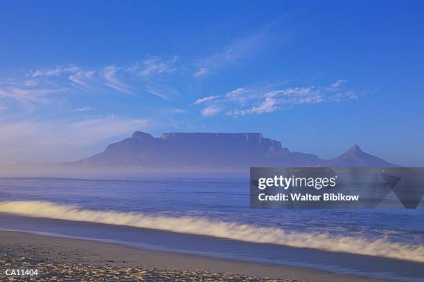 south africa, western cape, table mountain - kapprovinz stock-fotos und bilder