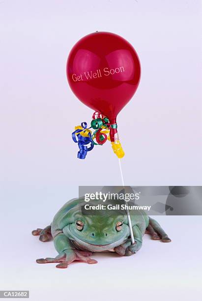 frog with 'get well soon' balloon - get well soon stock-fotos und bilder