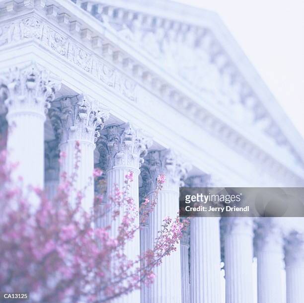 usa, washington d.c., supreme court, low angle view (soft focus) - supreme court imagens e fotografias de stock