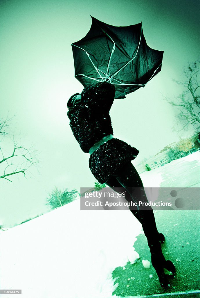Woman holding on to umbrella in snowstorm, rear view (green tone)