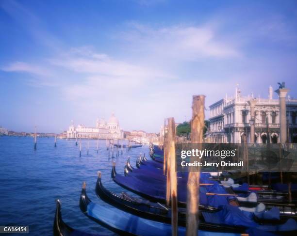 italy, venice, santa maria de la salute, focus on moored gondolas - marea stock pictures, royalty-free photos & images