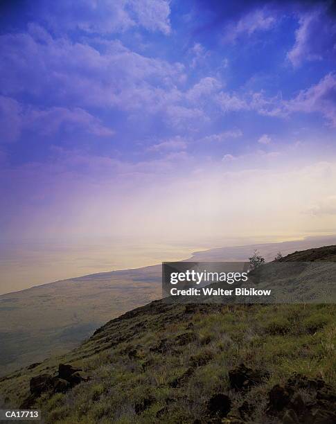 usa, hawaii, big island, apua point, old lava flow - dormant volcano stock pictures, royalty-free photos & images