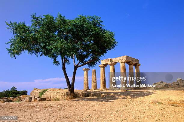 greece, peloponnessus, corinth, temple of apollo, ruins - templo de apolo corinto imagens e fotografias de stock