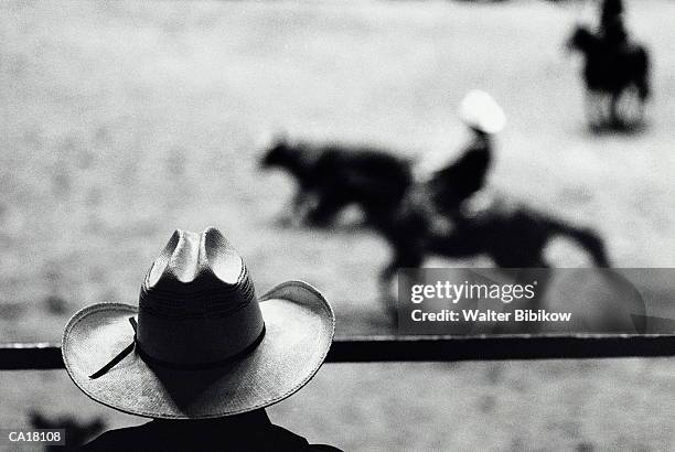 man watching indoor rodeo, rear, elevated view (focus on hat, b&w) - rodeo stock pictures, royalty-free photos & images