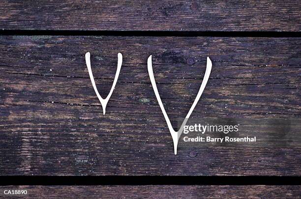 bleached wishbones on wooden board, close-up - barry wood stock-fotos und bilder