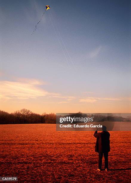 man flying kite in field, rear view - garcia stockfoto's en -beelden