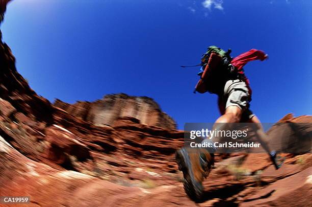 usa, utah, canyonlands, hiker leaping across rocks, low angle view - schneider bildbanksfoton och bilder