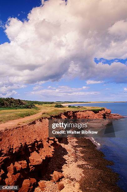 canada, prince edward island, east point, red cliffs above sea - prince of wales and duchess of cornwall visit queensland day 3 stockfoto's en -beelden