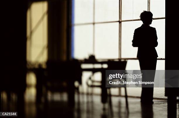 silhouette of businesswoman bywindow - businesswoman silhouette stock pictures, royalty-free photos & images