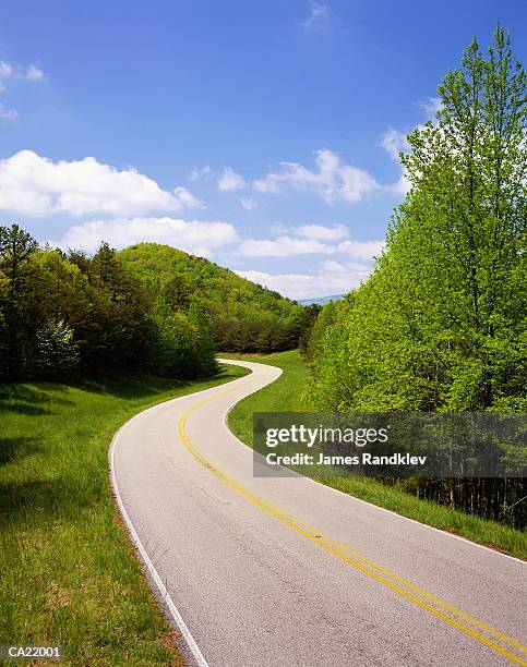 usa, alabama, talladega national forest, highway 49 - national forest imagens e fotografias de stock