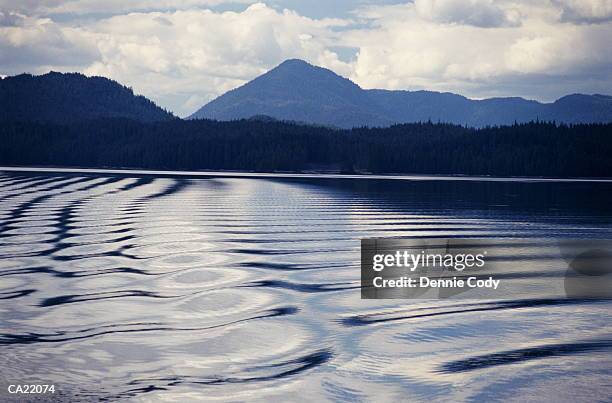 usa, alaska, prince of wales island, water patterns - the prince of wales duchess of cornwall visit new zealand day 4 stockfoto's en -beelden